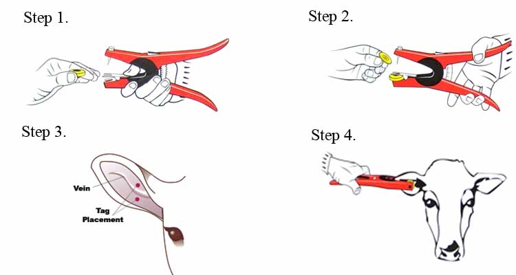 rfid animal ear tag