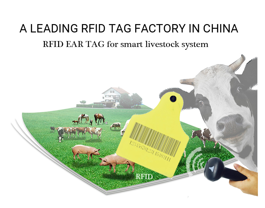 rfid animal tags