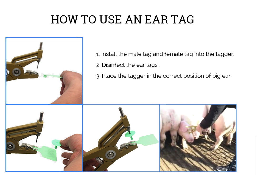 rfid tag animal