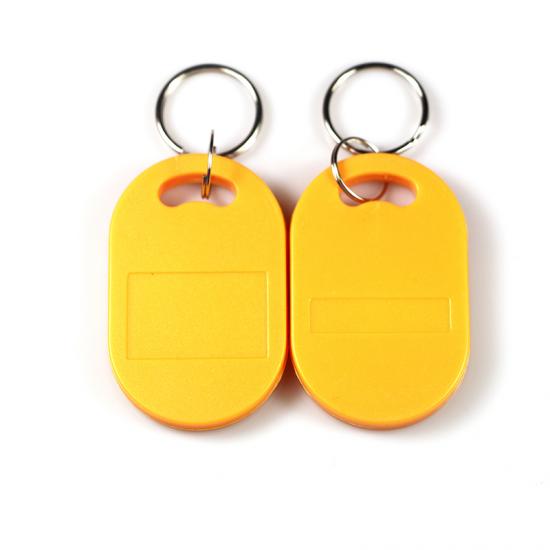 Dual Frequency RFID Key Tag